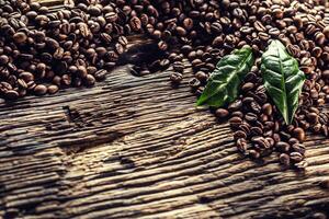 superiore di Visualizza caffè fagioli e verde le foglie su rustico quercia tavolo foto