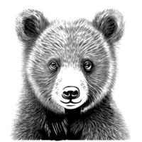 orso cucciolo viso schizzo mano disegnato cartone animato stile illustrazione foto