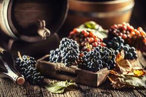 appena maturo uva posto perdere nel un' di legno scatola, nel il sfondo un' vino barile e un' bottiglia di rosso vino foto