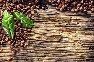 superiore di Visualizza caffè fagioli e verde le foglie su rustico quercia tavolo foto