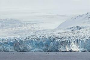 ghiacciaio nel Antartide, Sud Shetland foto