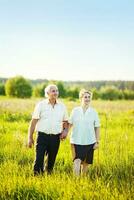 bellissimo contento coppia nel un' campo foto