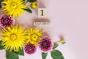 autunno composizione per il primo di settembre con bellissimo luminosa dalia fiori su un' leggero sfondo con un' di legno calendario, Data. foto