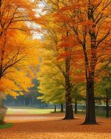 foto strada è circondato di alberi con colorato le foglie durante autunno ai-generato