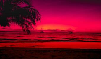 bellissimo tramonto con palma alberi su il tropicale mare spiaggia rosa cielo sfondo foto