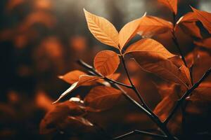 vicino su di bellissimo autunno le foglie con acqua gocce. naturale sfondo ai generato foto