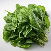 fresco spinaci verdure su un' bianca sfondo foto