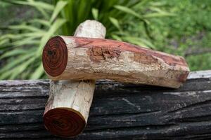 legna logs di siam palissandro esotico di legno bellissimo modello per mestieri foto