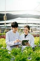 biologo mette germoglio nel test tubo per laboratorio analizzare. Due scienziati In piedi nel biologico azienda agricola. dai un'occhiata, laboratorio nel serra. foto