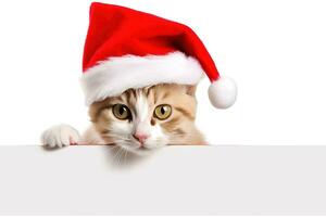 divertente gattino nel rosso Natale cappello sbirciando a partire dal dietro a vuoto striscione. ai generativo foto