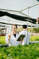 biologo mette germoglio nel test tubo per laboratorio analizzare. Due scienziati In piedi nel biologico azienda agricola. dai un'occhiata, laboratorio nel serra. foto