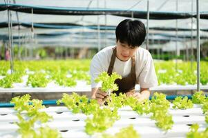 asiatico uomo contadino guardare biologico verdure e Tenere tavoletta per controllo ordini o qualità azienda agricola foto