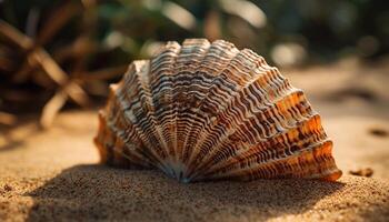 vicino su di un' bellissimo giallo conchiglia, un' souvenir a partire dal estate vacanze generato di ai foto