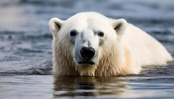 carino cane guardare a telecamera, bagnato pelliccia, riflettendo natura bellezza generato di ai foto