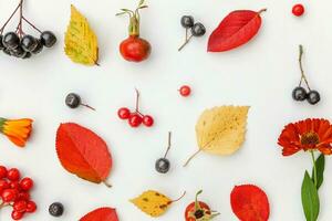 autunno floreale composizione. impianti Viburnum Rowan frutti di bosco rosa canina fresco fiori colorato le foglie isolato su bianca sfondo. autunno naturale impianti ecologia sfondo concetto. piatto posizione, superiore Visualizza foto