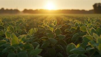 natura bellezza nel un' vivace prato, verde le foglie sotto luce del sole generato di ai foto