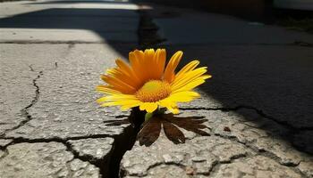 giallo margherita nel il prato, un' singolo fiore di natura bellezza generato di ai foto