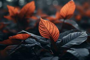 vicino su di bellissimo autunno le foglie con acqua gocce. naturale sfondo ai generato foto