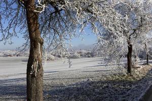 bellissima campagna invernale innevata da favola nella Boemia centrale, repubblica ceca foto