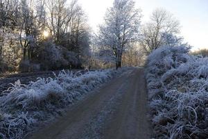 bellissima campagna invernale innevata da favola nella Boemia centrale, repubblica ceca foto