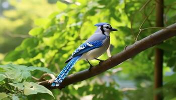 un' bellissimo uccello perching su un' ramo nel il foresta generato di ai foto