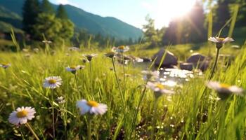 un' bellissimo estate prato con verde erba e fiori selvatici generato di ai foto