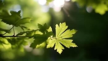 vivace verde le foglie su un' albero ramo, natura colorato capolavoro generato di ai foto