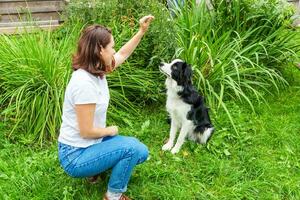 sorridente giovane attraente donna giocando con carino cucciolo cane confine collie nel estate giardino o città parco all'aperto sfondo. ragazza formazione trucco con cane amico. animale domestico cura e animali concetto. foto