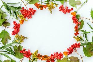 autunno floreale composizione. telaio fatto di Viburnum frutti di bosco isolato su bianca sfondo. autunno autunno naturale impianti ecologia fresco sfondo concetto. piatto posare superiore Visualizza, copia spazio foto