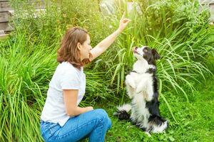 sorridente giovane attraente donna giocando con carino cucciolo cane confine collie nel estate giardino o città parco all'aperto sfondo. ragazza formazione trucco con cane amico. animale domestico cura e animali concetto. foto