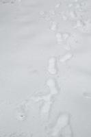 impronte sulla neve foto