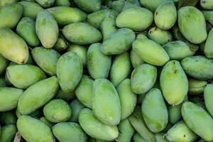 mucchio di verde manghi frutta nel mercato. manghi siamo in genere dolce, benché il gusto e struttura di il carne varia attraverso cultivar alcuni, come come Alfonso, avere un' morbido, polposo, succoso struttura. foto