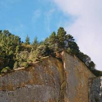 alberi in montagna natura paesaggio a bilbao spagna foto