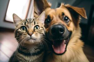 gatto e cane migliore amici assunzione un' autoscatto sparo. generativo ai illustrazione foto