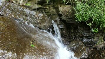 avvicinamento Visualizza di chiaro acqua a cascata giù fiume rocce foto