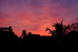 bellissimo rosso asiatico tramonto su il mare. palme e nuvole foto