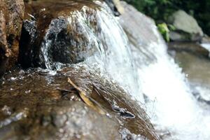 avvicinamento Visualizza di chiaro acqua a cascata giù fiume rocce foto