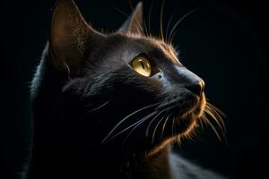 ritratto di un' nero gatto con giallo occhi su un' nero sfondo generativo ai foto