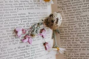 avvicinamento di un' poco primavera margherita fiore e camomilla Quaglia uovo su il sfondo di un vecchio libro foto