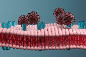 cellula membrana e coronavirus, medico concetto, 3d resa. foto