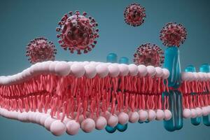 cellula membrana e coronavirus, medico concetto, 3d resa. foto