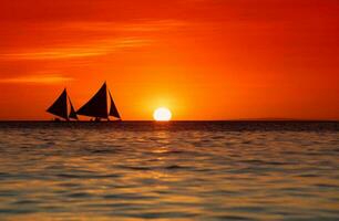 tropicale mare tramonto albero cielo Visualizza sfondo foto