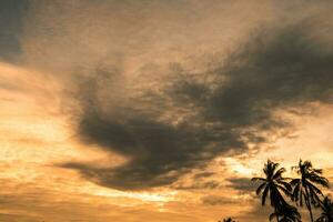 nube cielo d'oro tramonto forma Fenice foto