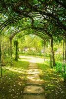 arco verde morbido naturale sentiero foto