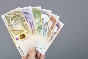 albanese i soldi nel il mano su un' grigio sfondo foto