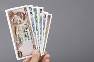 vecchio islandese i soldi nel il mano su un' grigio sfondo foto