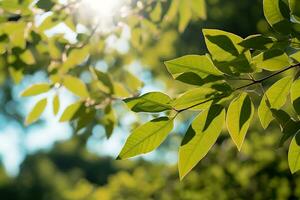 verde le foglie su foresta natura ambiente ai generativo foto