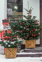 Natale alberi decorato con rosso palloncini nel davanti di il Ingresso per il bar. strada Natale decorazioni. Natale alberi e un' di legno schiaccianoci foto