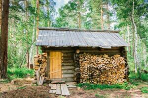 un' solitario vecchio Casa di il guardia forestale e un' mucchio di legna da ardere nelle vicinanze nel un' foresta radura nel il siberiano taiga foto