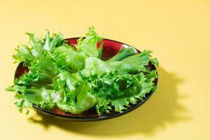 fresco le foglie di fregio lattuga su un' piatto su un' giallo sfondo. salutare mangiare e vegetarianismo. difficile luce. foto